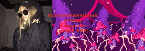 тгк Арсеньев