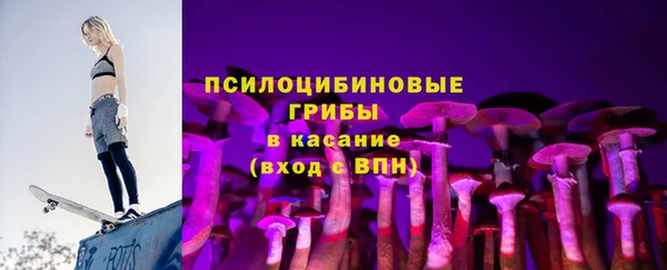 тгк Арсеньев