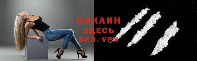 тгк Арсеньев