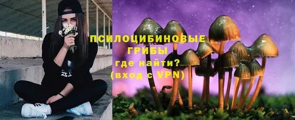 стафф Армянск