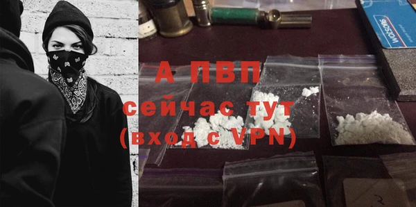 стафф Армянск