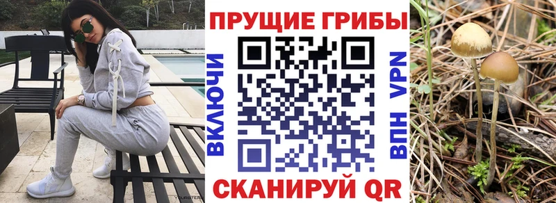 Галлюциногенные грибы мицелий  что такое наркотик  Омутнинск 
